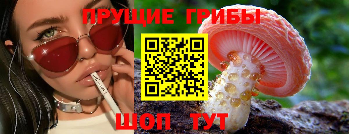 Ульяновск  Галлюциногенные грибы Psilocybe  Вход с VPN  купить наркотик  Галлюциногенные грибы ЛСД 